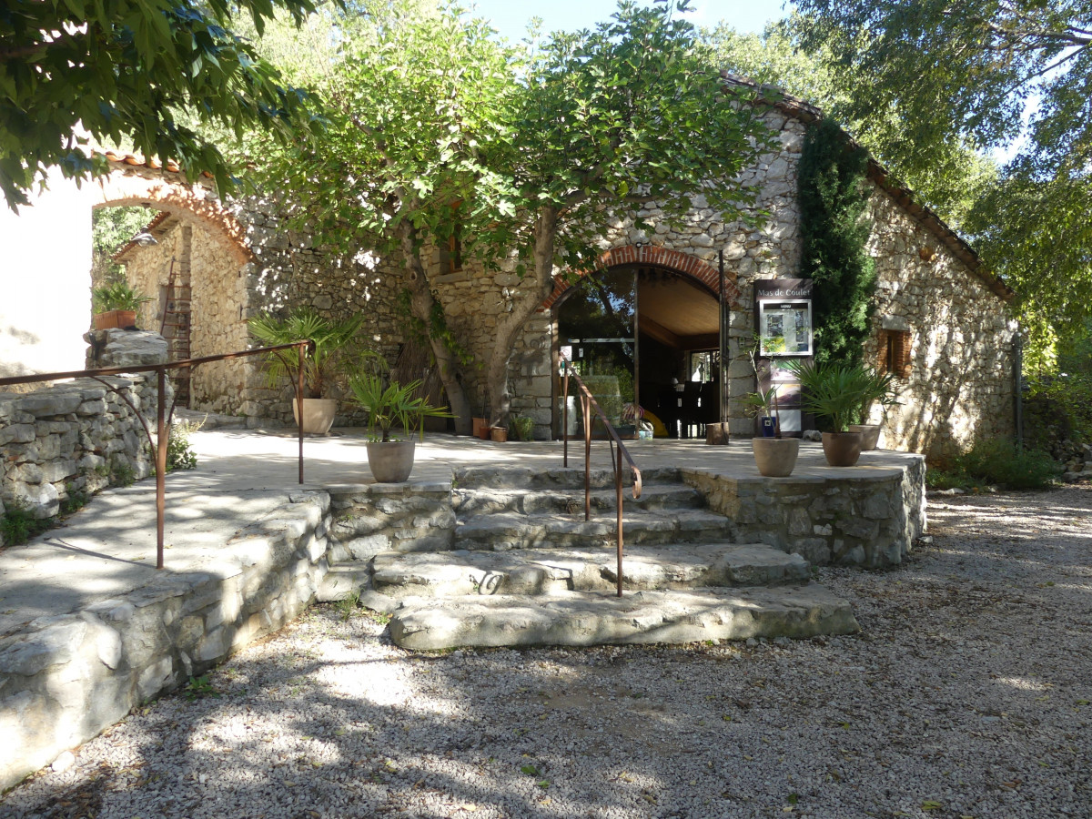 Domaine du Mas de Coulet - Image 2